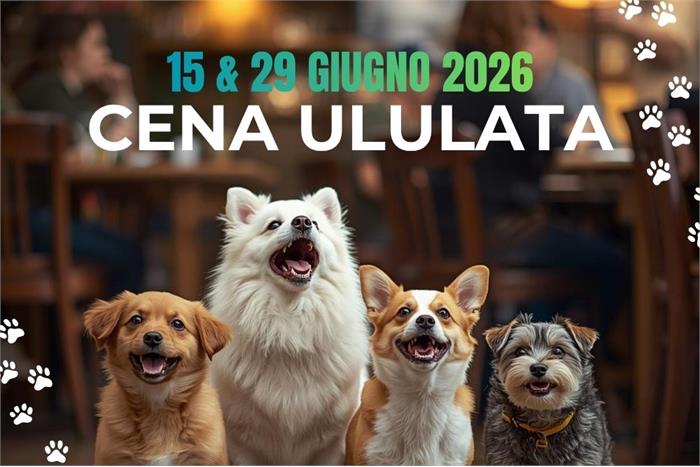 🐾 On June 15 and 29 at Caciara, the real stars of the evening will be them: our four-legged friends!